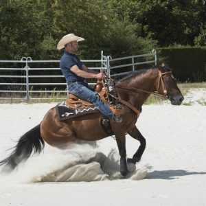 Selle Westride by Franck Perret Aurora