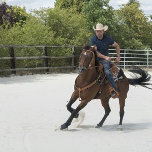 Selle Westride by Franck Perret Aurora