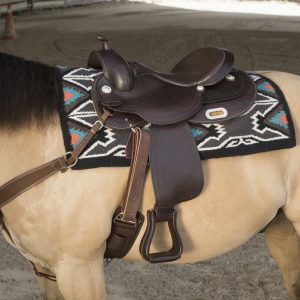 Selle Westride by Franck Perret Arvada