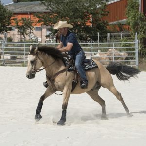 Selle Westride by Franck Perret Arvada